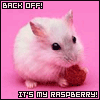 A Rasp... Ooops... A mouse?