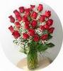 2 dozzen roses for you