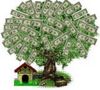 Money Tree