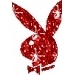 playboy