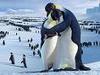 Penguin Love