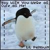 Cute Penguin