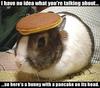 A Pancake Rabbit
