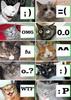 cat icons