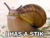 a LOL Snail