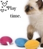 Catnip Toys