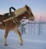 a magical winter ride