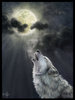 Lone wolf song to the moon