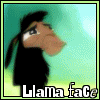 Llama face!