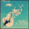 A *Wish*