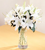 white lilies in a vase