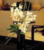 Artful Orchids in a vase