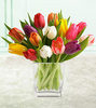 tulips in a vase