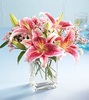 Pink lilies in a vase