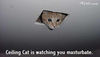 I'm watching u!!