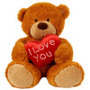 Teddy Love :)
