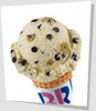 Baskin Robbins Choco-Chip