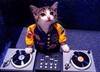 Dj Cat