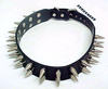 Spiked Collar