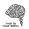 Your brain...
