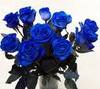 A bonquet of blue roses 4 u