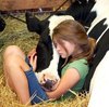 Nap with a Cow