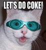 Coke Cat