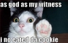 Did you eat'd my cookie?!  :-(