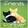 Friend Forever!