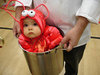 baby lobster* 