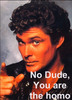 the truth by the Hoff