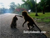 Aren't you Cute!!