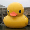 Big Rubber Duckie