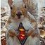 Super Squirrel