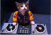 A DJ FOR THE DAY