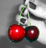 Cherries