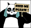 Feed Me Please !!!