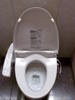 Japanese Hi-Tech Toilet Bowl