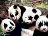 Maquillaje de Pandita