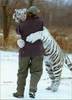 Tigerhugs!