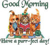 Have a Purr-fect Day!