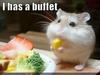 Trip to the buffet