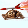 Flying Turtle