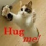 hug me