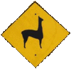 warning! llama lovers ahead