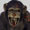 a zombie chimp