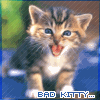 Bad Kitty &gt;_&lt;