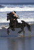 Ride horseback in the surf