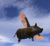 A Flying Pig!