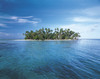 A Tropical Island